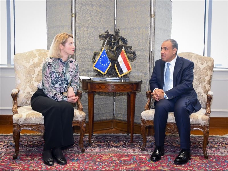 بدر عبد العاطى وزير