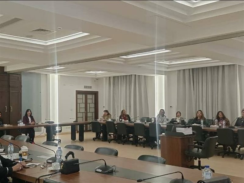 المجلس الاقتصادي