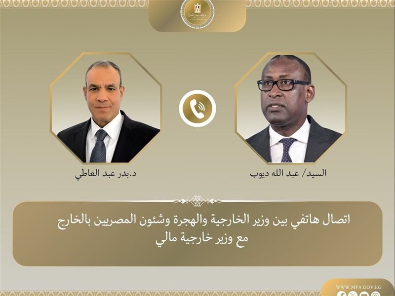 وزيرا خارجية مصر