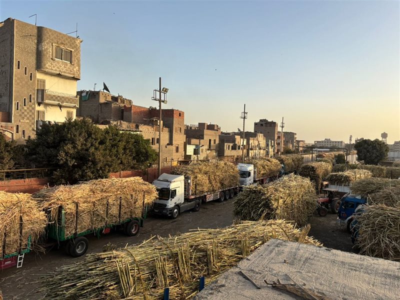 توريد السكر 