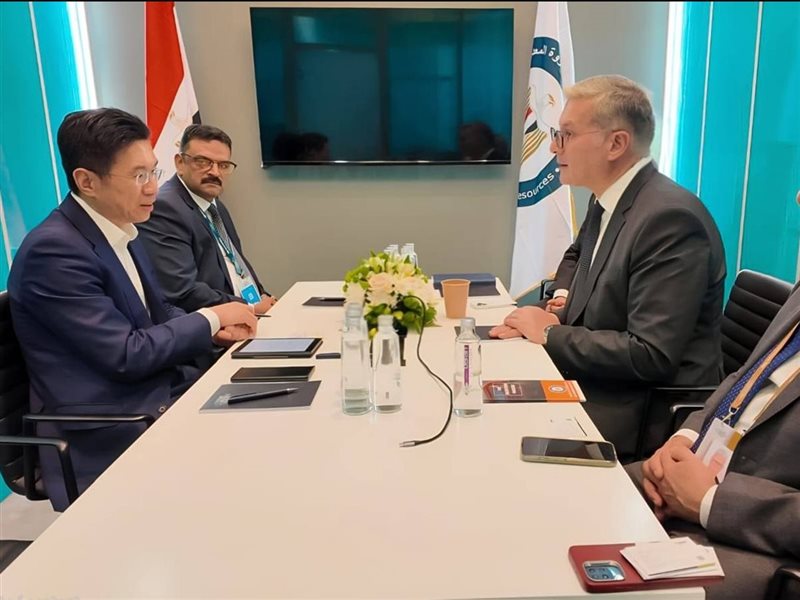 كريم بدوي، وزير البترول