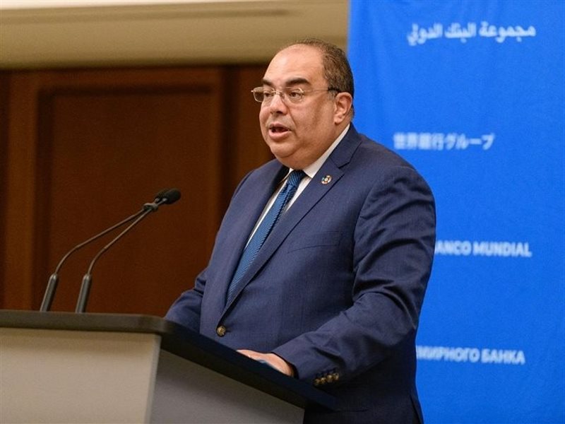 الدكتور محمود محيي