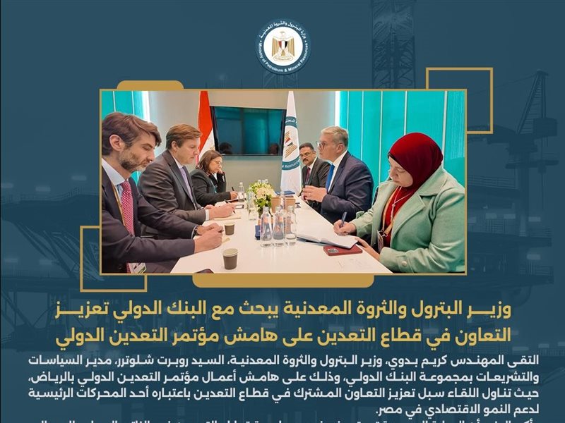  كريم بدوي، وزير