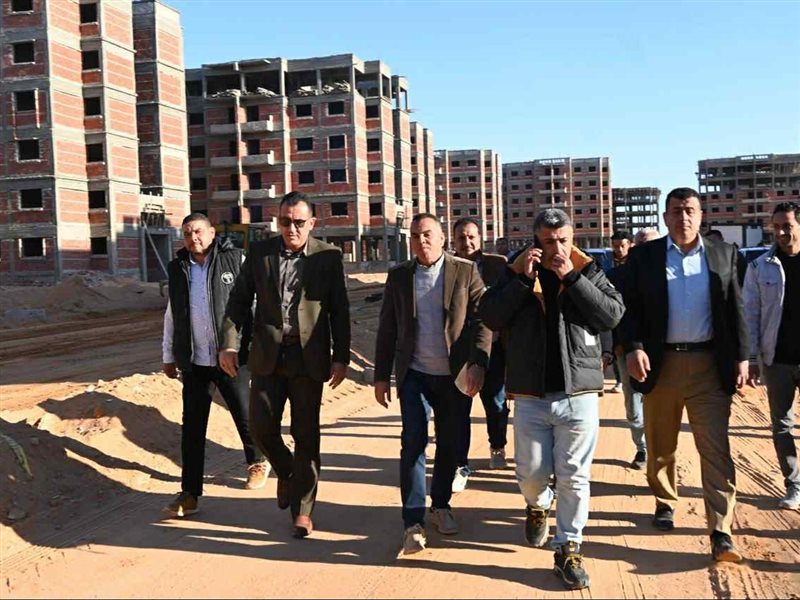 أحمد عمران، نائب