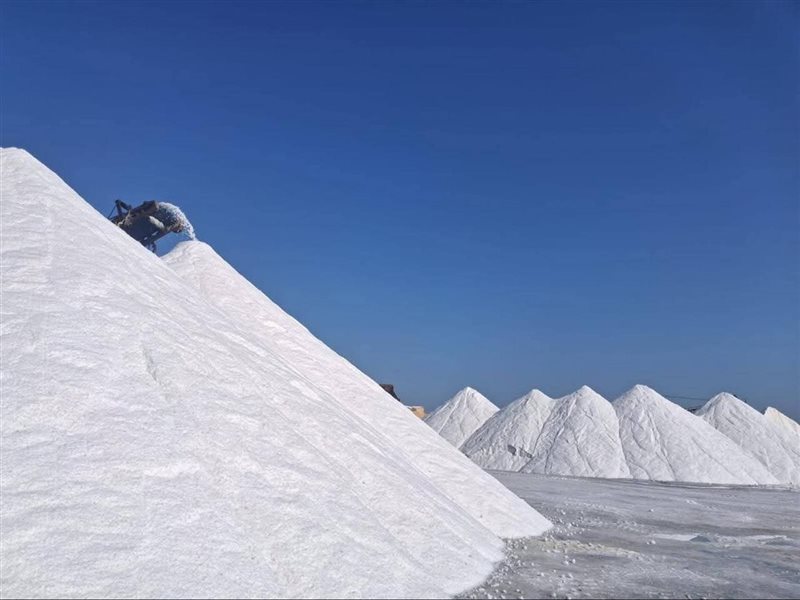 النصر للملاحات تصدر