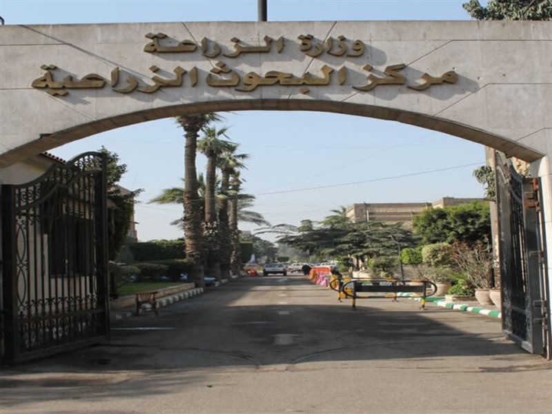 مركز البحوث الزراعية