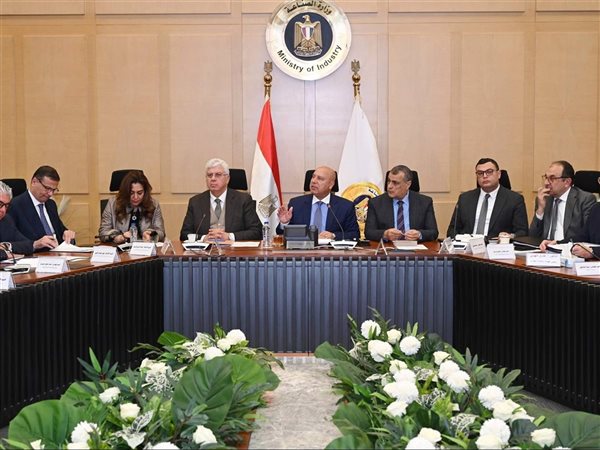 مليار دولار للكيماويات و291 مليونًا لإطارات السيارات.. قرارات حاسمة في اجتماع التنمية الصناعية