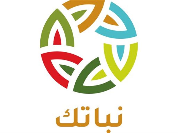 «نباتك».. تطبيق ذكي يقود الزراعة المصرية نحو إنتاجية أعلى ومعرفة أدق