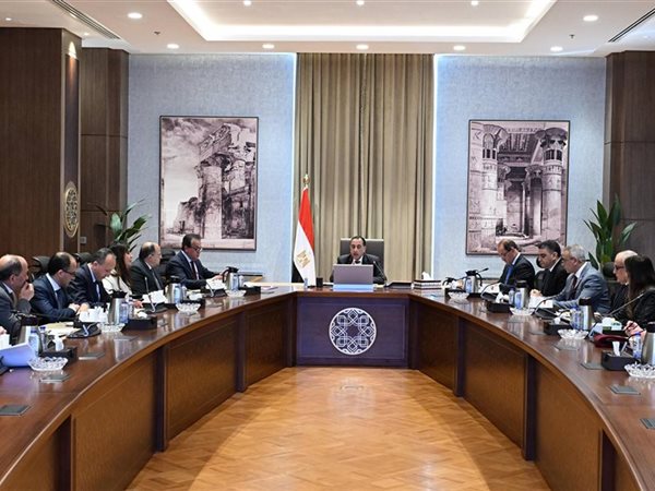 رئيس الوزراء يستعرض موقف توافر الأدوية وسداد مستحقات شركات الدواء