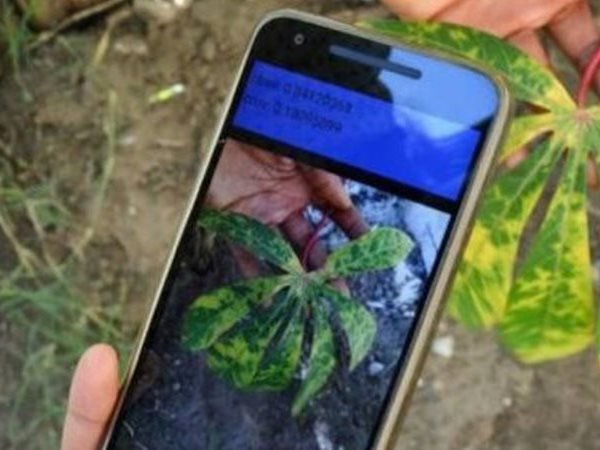 كيفية استخدام تطبيق نباتك خطوة بخطوة؟.. دليل المبتدئين