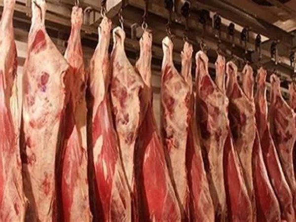 رسمياً.. قائمة أسعار اللحوم المتوقعة في شهر رمضان يكشفها نقيب الفلاحين