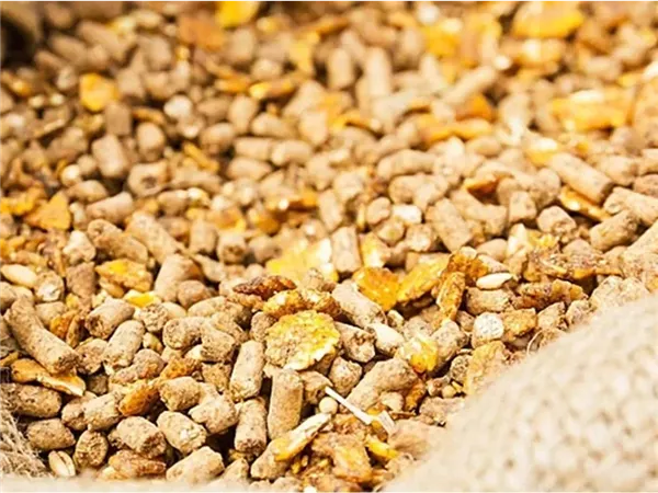 تنسيق حكومي–خاص ينهي أزمة الأعلاف ويثبت أسعار اللحوم قبل رمضان