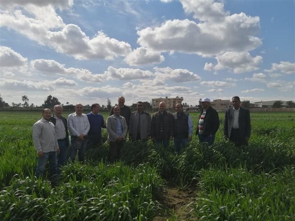 ثورة الأخضر.. كيف تحولت حقول وزارة الزراعة إلى مدارس حية تغير مصير الفلاحين؟