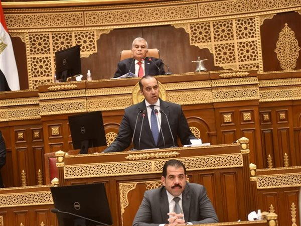 وزير الشئون النيابية: إحالة تشريع لجهات الاختصاص لحماية الأطفال من مخاطر الإنترنت