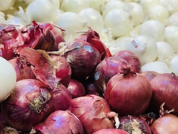 بوابة آسيا تفتح أبوابها.. البصل والثوم المصري يغزوان الأسواق الفيتنامية رسمياً