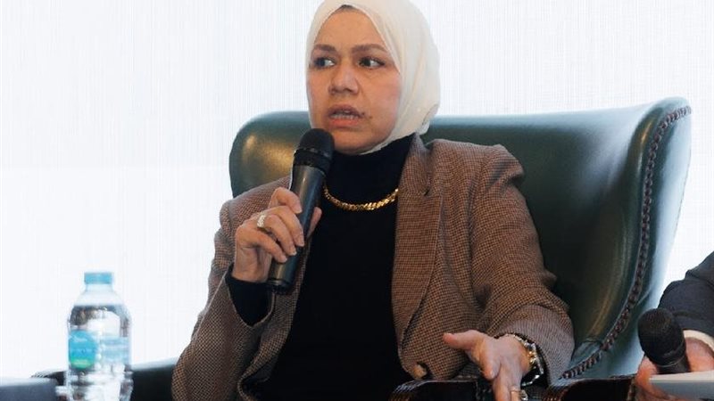 رشا  عبد العال رئيس مصلحة الضرائب