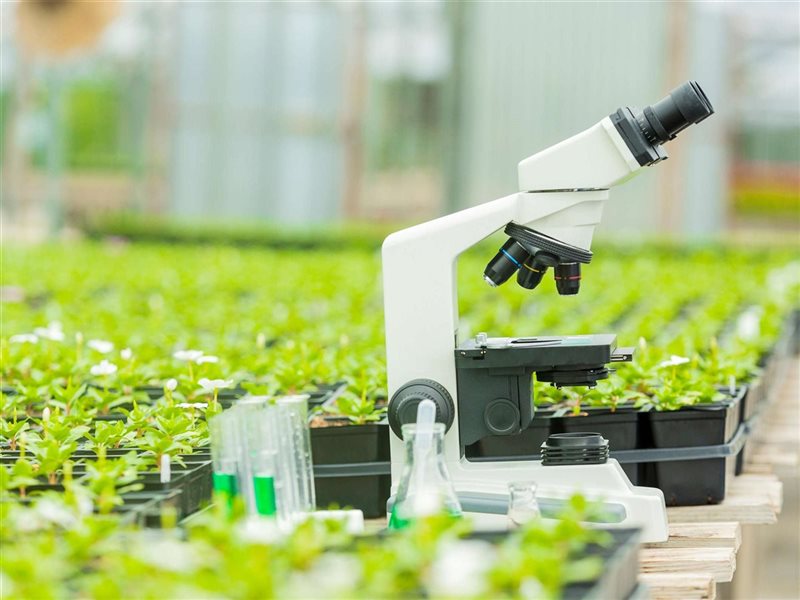 البحوث الزراعية