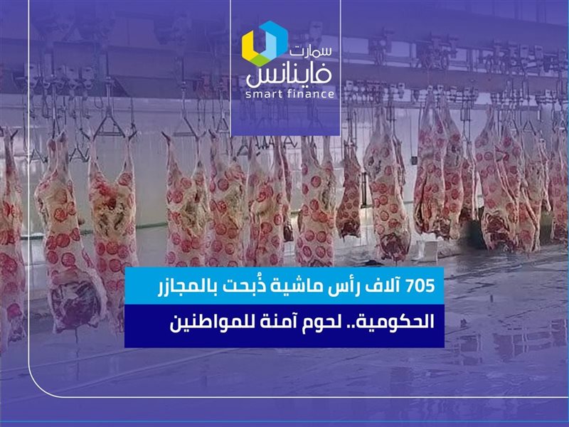 705 آلاف رأس ماشية ذُبحت بالمجازر الحكومية