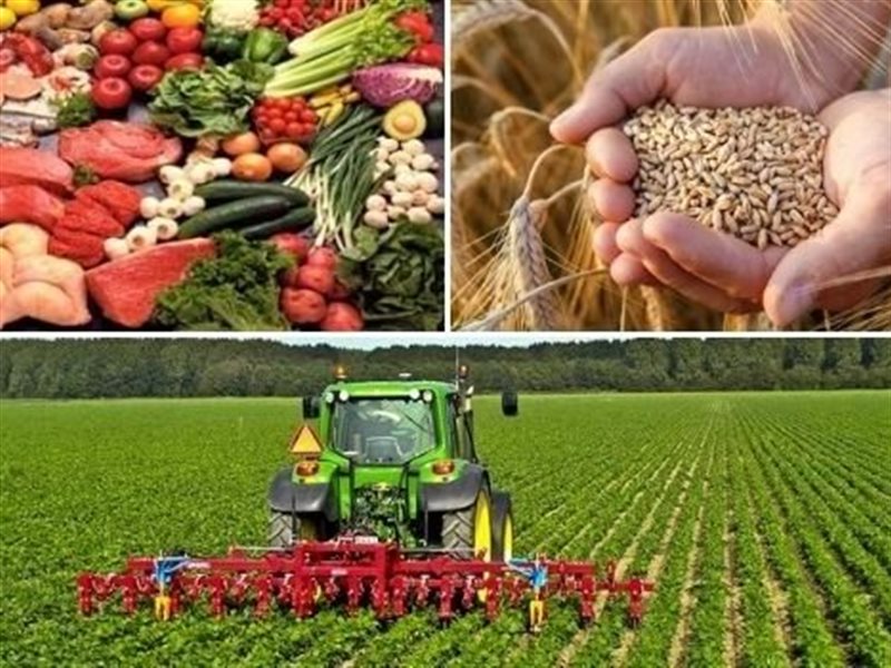 القطاع الزراعي في