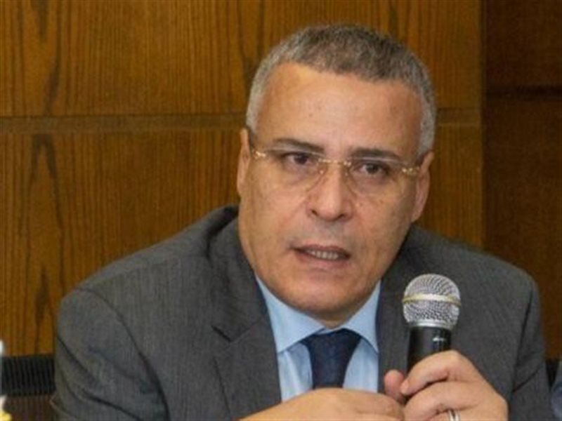 عماد قناوي، عضو مجلس