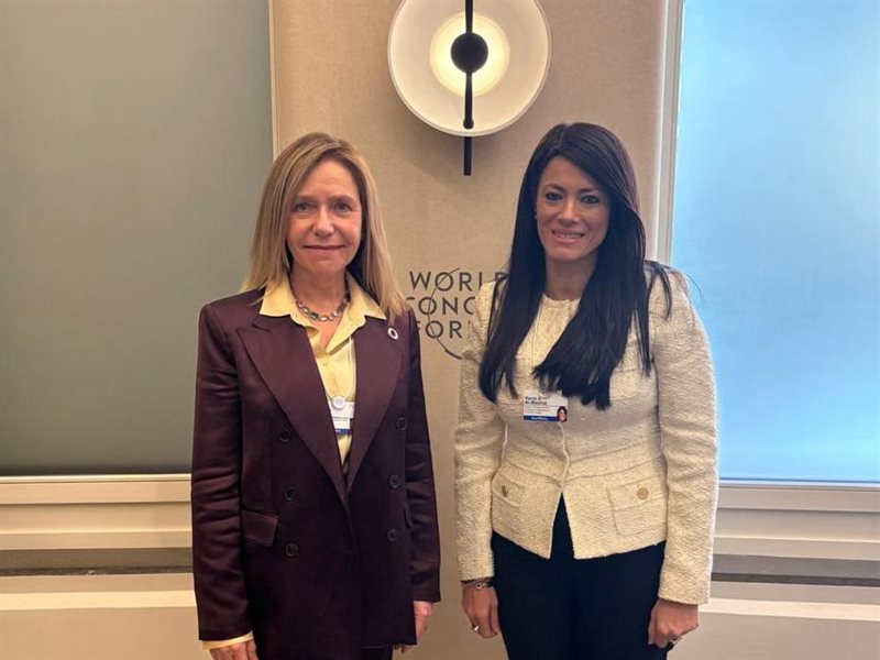 رانيا المشاط، وزيرة