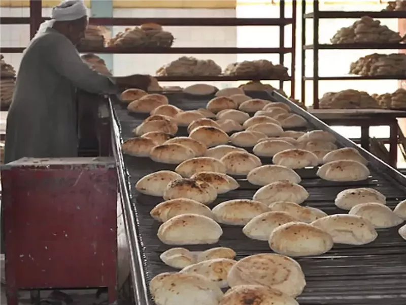 صورة أرشيفية