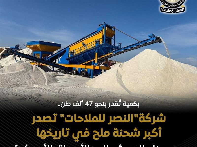 شركة النصر للملاحات