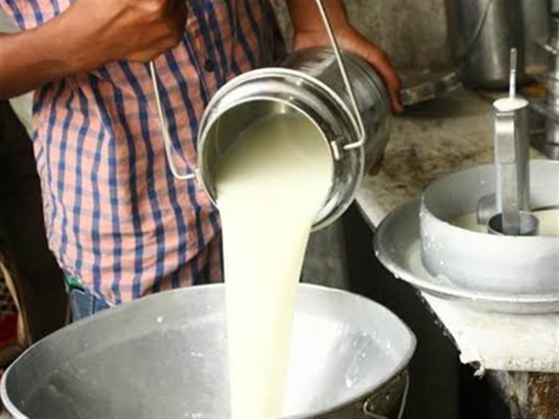 أسعار الألبان في