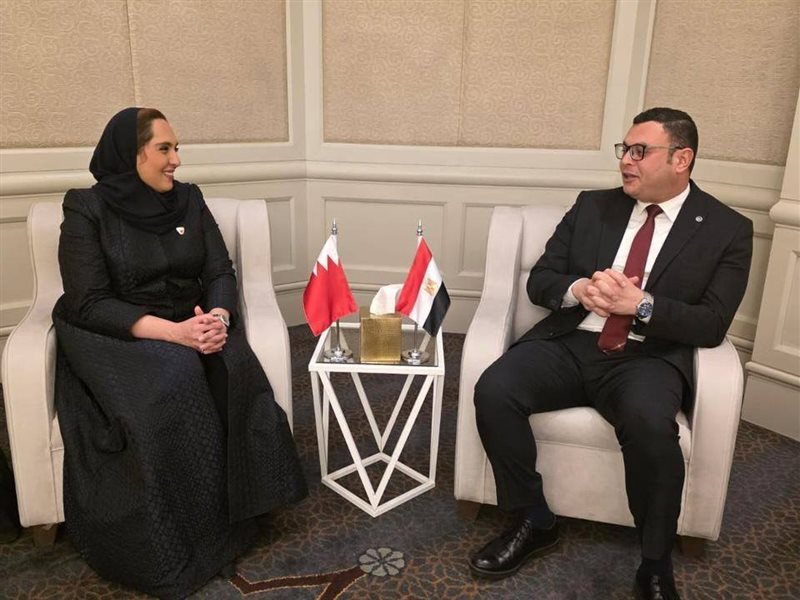 المهندس شريف الشربيني