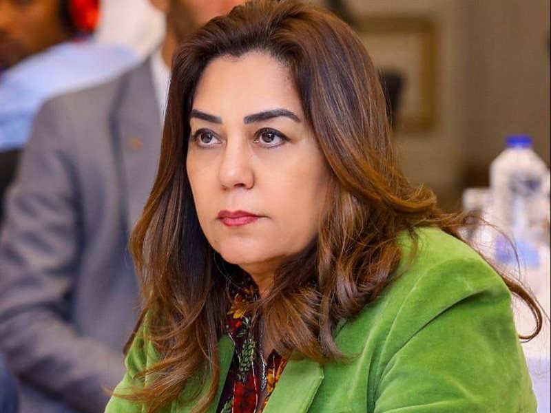 منال عوض وزيرة التنمية