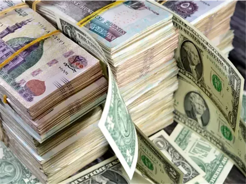 العملة المصرية