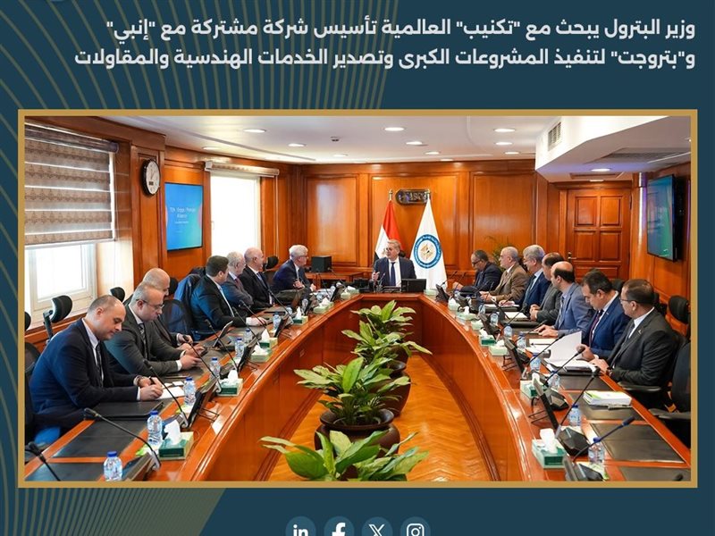 كريم بدوي، وزير البترول