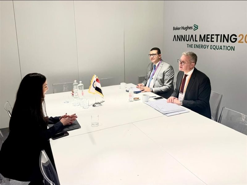  كريم بدوي، وزير