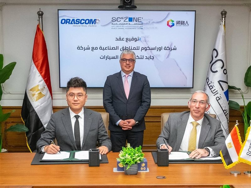 وليد جمال الدين،