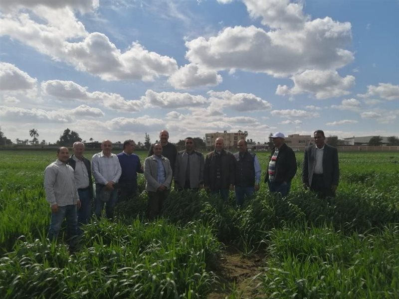 الحقول الإرشادية