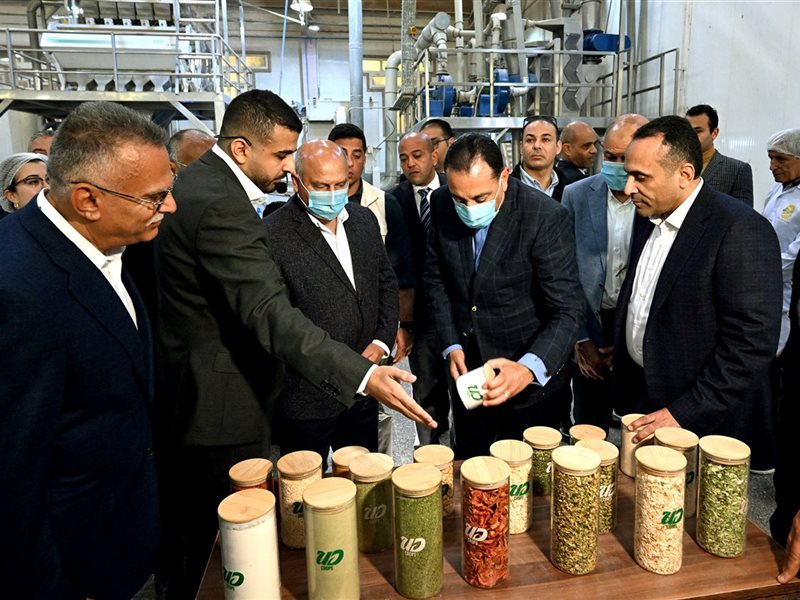 الشركة المتحدة لتجفيف