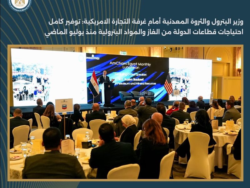  كريم بدوي، وزير