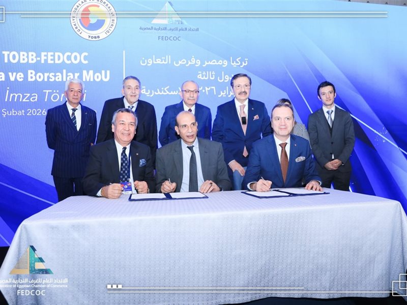 أحمد كجوك، وزير المالية