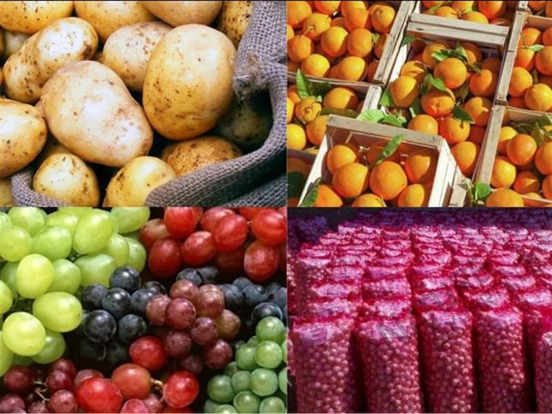 الصادرات الزراعية