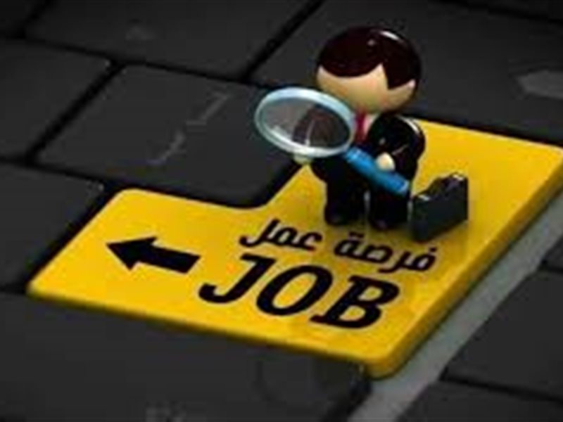 وظائف وزارة العمل