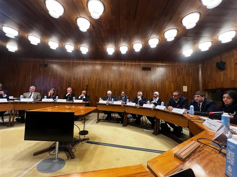  الدكتور أيمن عاشور