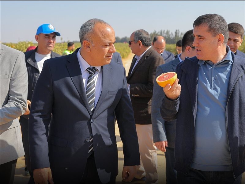 جهاز مستقبل مصر للتنمية