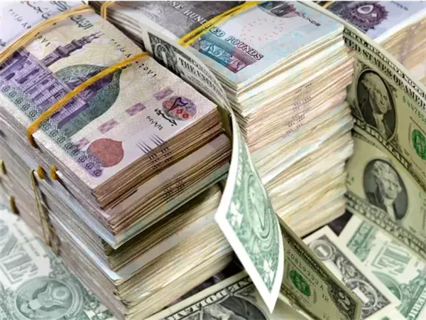 توقعات بخفض الفائدة بنسبة 2% ضمن قرارات البنك المركزي المصري القادمة