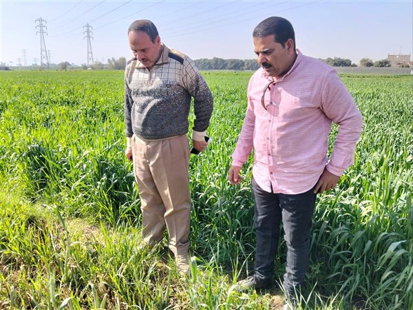 تحرك مكثف لوزارة الزراعة لدعم زراعة المحاصيل الشتوية بسوهاج بمراكز المحافظة