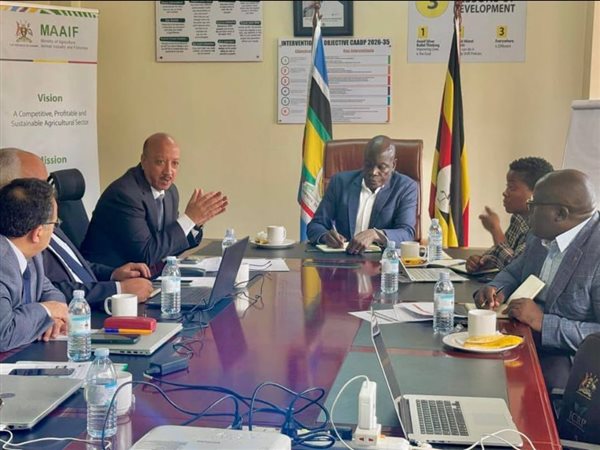 الري: إنشاء سوق الأسماك الحضاري والمرسى النهري بـ 