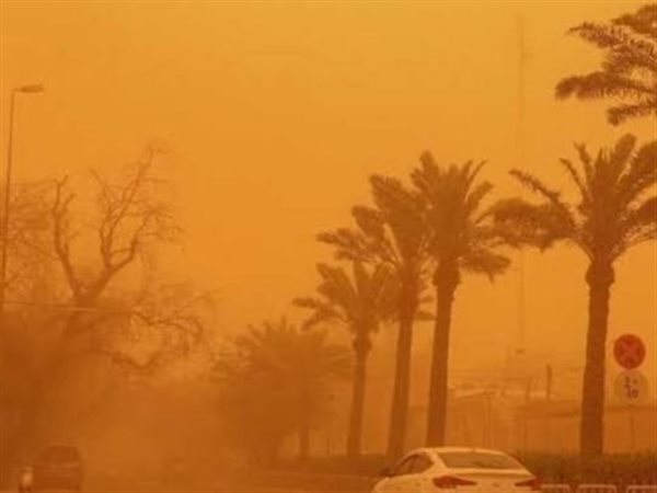 وزارة الصحة تصدر نصائح طبية عاجلة لمرضى الحساسية والربو لمواجهة التقلبات الجوية 