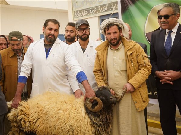 وزارة الزراعة توزع كباش وشتلات لدعم تنمية المناطق الحدودية في مطروح 2026 