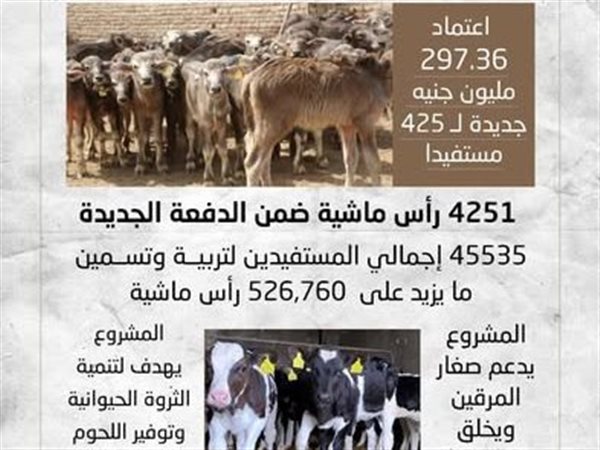 الزراعة: صرف أكثر من 297 مليون جنيه تمويلاً جديداً للمشروع القومي للبتلو 