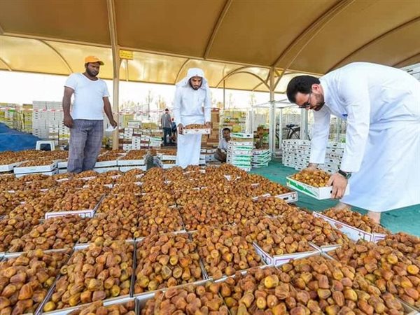 هدية خادم الحرمين بمناسبة رمضان.. السعودية تسلّم مصر 10 أطنان من التمور 