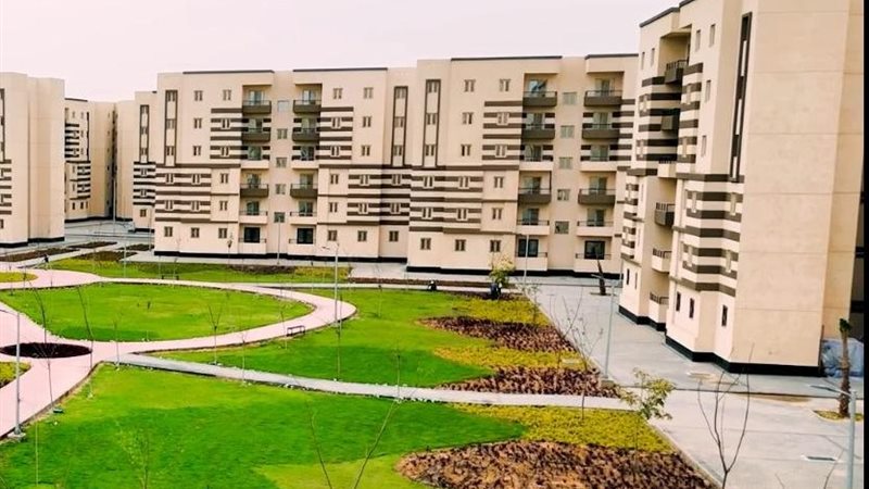 سكل كل المصريين